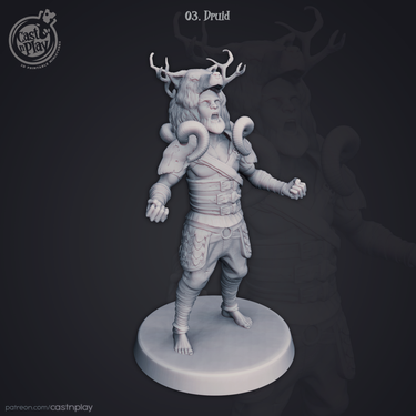 Druid